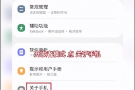 三星手机开发者选项在哪